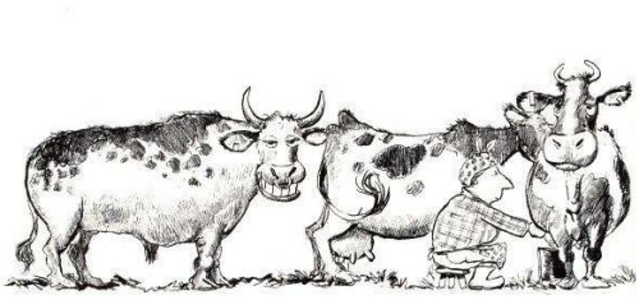 Szalony wyjazd integracyjny Szalony wyjazd integracyjny