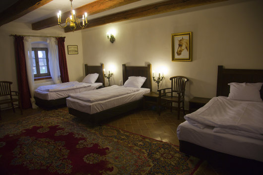 Pokój winogronowy Pokój winogronowy